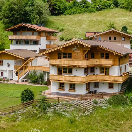 Alpensteinbock B *