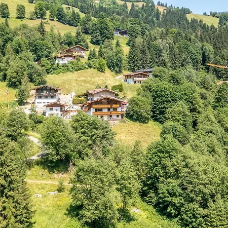 Alpensteinbock B Apartamento