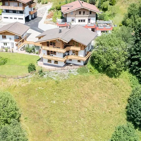 Alpensteinbock B Saalbach-Hinterglemm