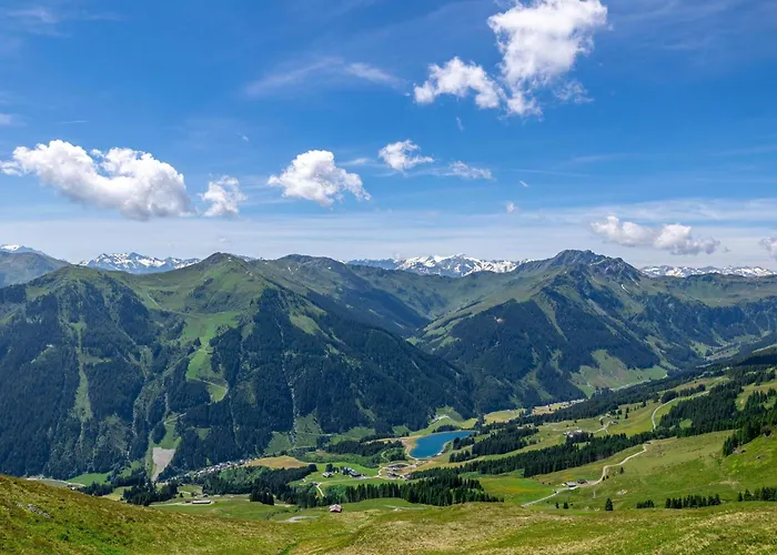 公寓 Alpensteinbock B 萨尔巴赫