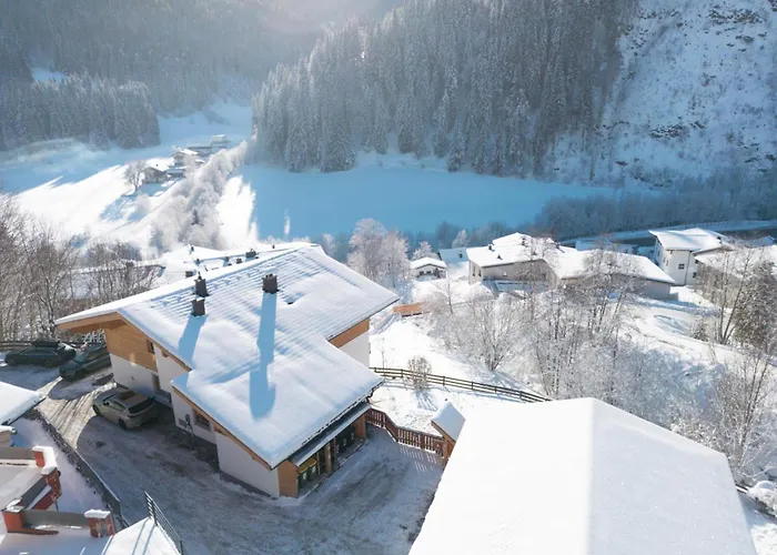 Alpensteinbock B * 萨尔巴赫