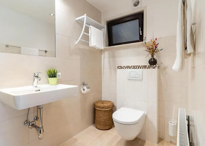 Alpensteinbock B 萨尔巴赫