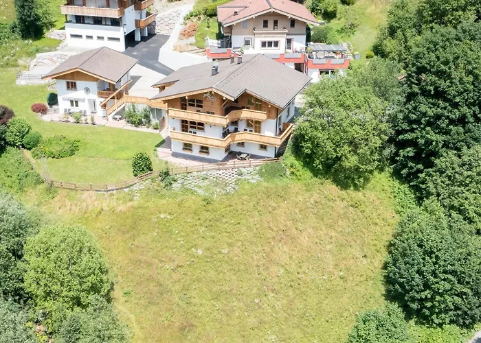 Alpensteinbock B 萨尔巴赫